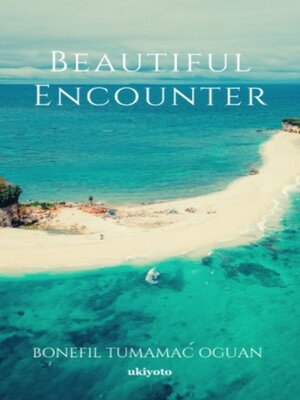 cover image of Beautiful Encounter